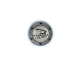 ESSENZA 210 TYPE WHEEL CENTER CAP USED