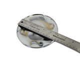 Prime Wheel Chrome Center Cap Used
