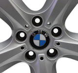 18" Wheel BMW X5 07 08 09 10 11 12 13 Silver OEM 86077